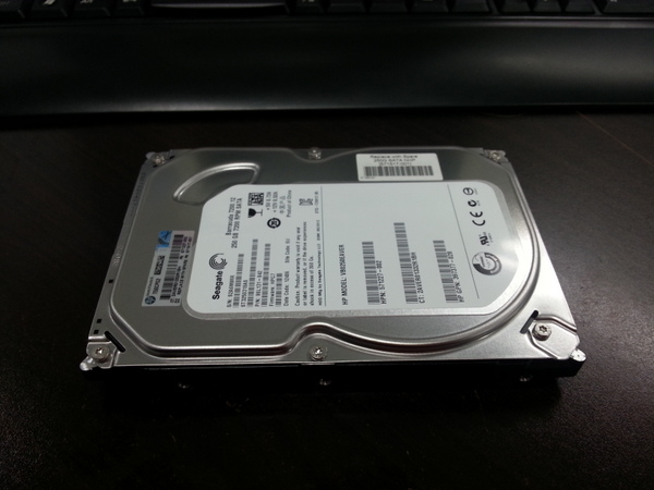 2013-03-006.jpg