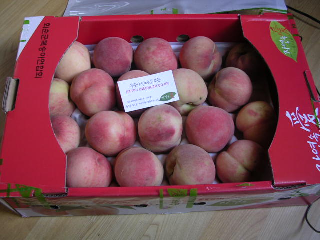 DSCN6255.JPG