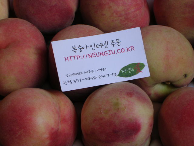 DSCN6256.JPG