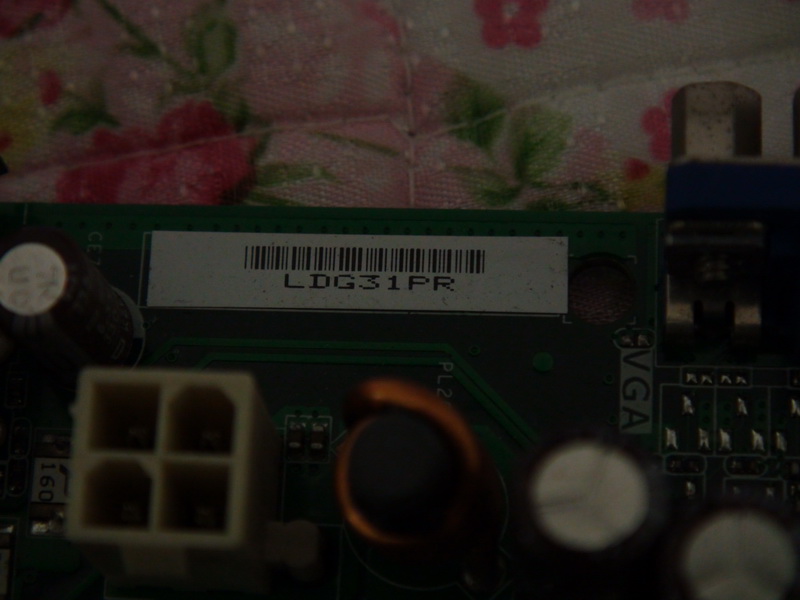 DSC05703_resize.JPG