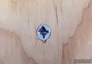 나사.gif