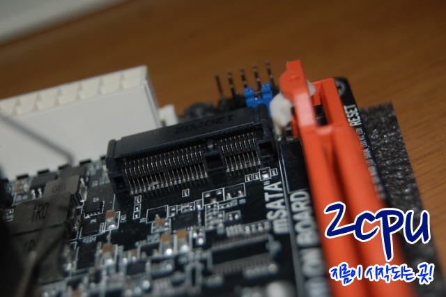 2cpu_DSC_0674.JPG