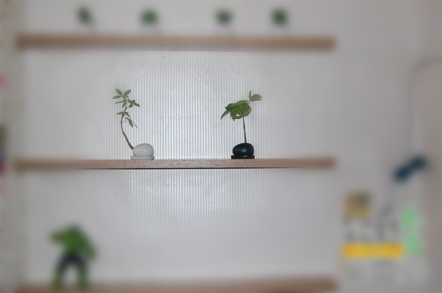 무지주선반_DSC_0982.JPG