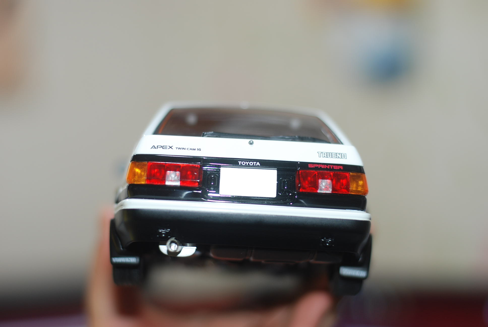 DSC_6834.JPG