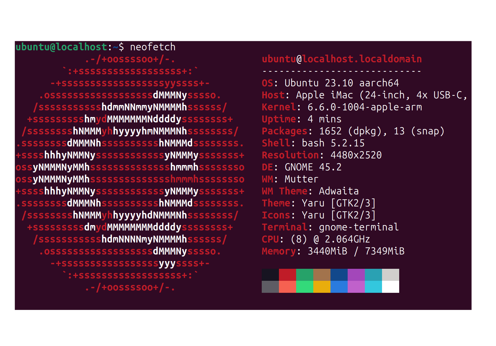 240602_bmt_1d95dac060509f5c6458c72b41d18