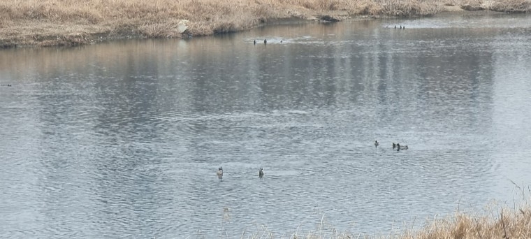 230213_column_98c77f3621237036dfb7d91e02