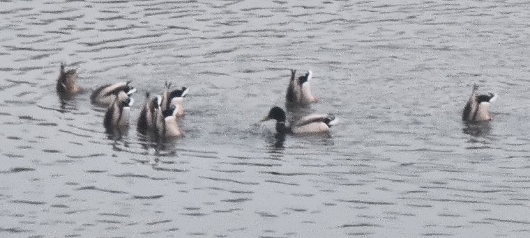 230224_column_3d4877485b0fe0539ef1ca2f74