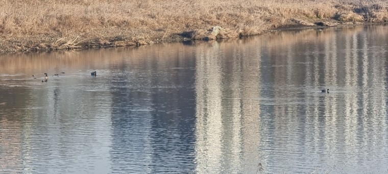 230316_column_ba99f2d5a5d481dbfb2ac8fd5f