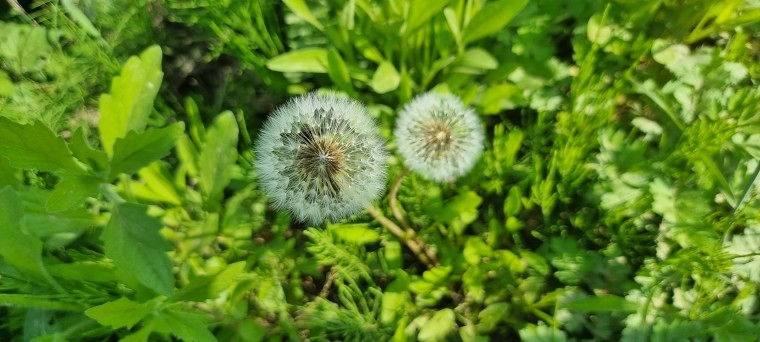 230428_column_6d8a91679c5c0e3e49e0cf80fd