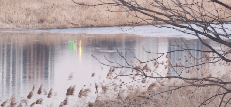 240123_column_4c775edfd73070a067e3d8f9cc