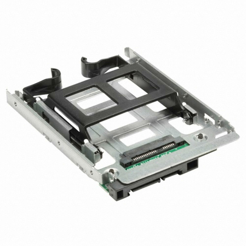 대체 텍스트 노출