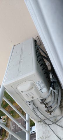 201110_hojak_e70fc971d771bdbc919e546ef0f