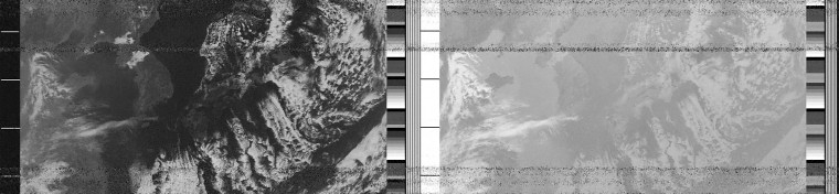 230307_hojak_a51ea590681423744dcceceb271