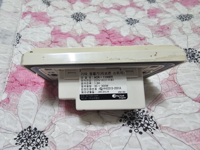 250602_hojak_29db139ffa03c118bf7be199e3e