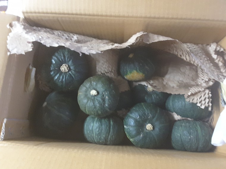 160712_unbox_afed70ed7c10fbdc3cb6454a5cf