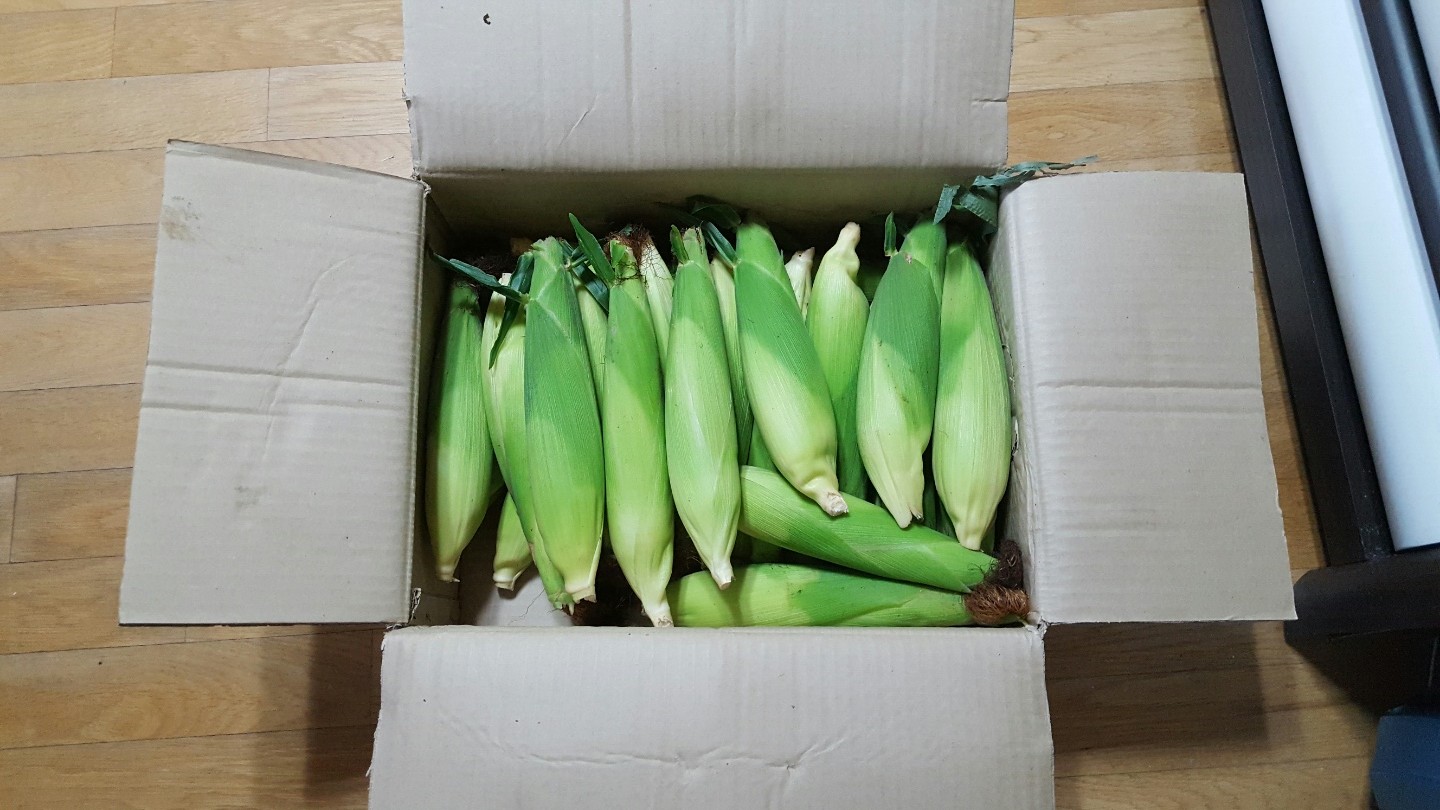 160809_unbox_943f302c9c6cda961e106273c26