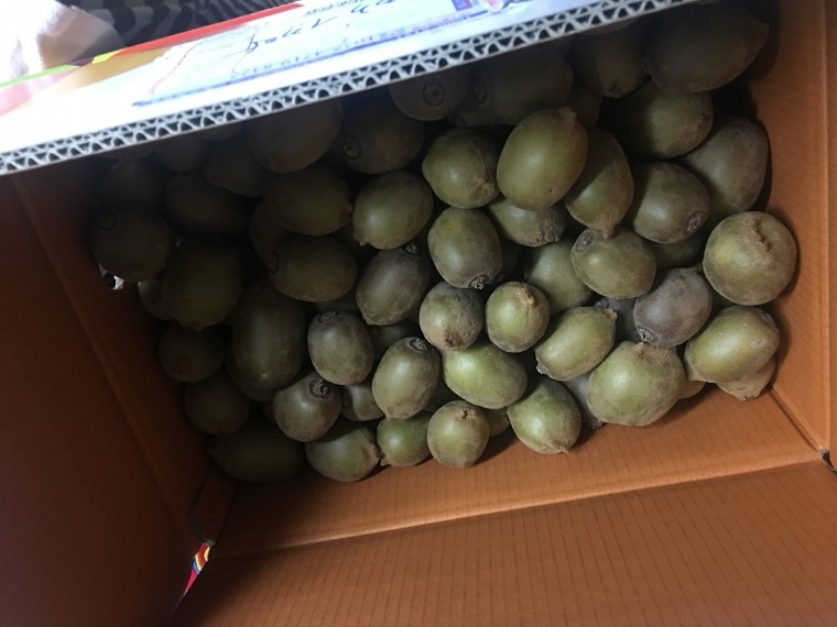 181127_unbox_d5fbe0e80f6e11b73416386bbbe