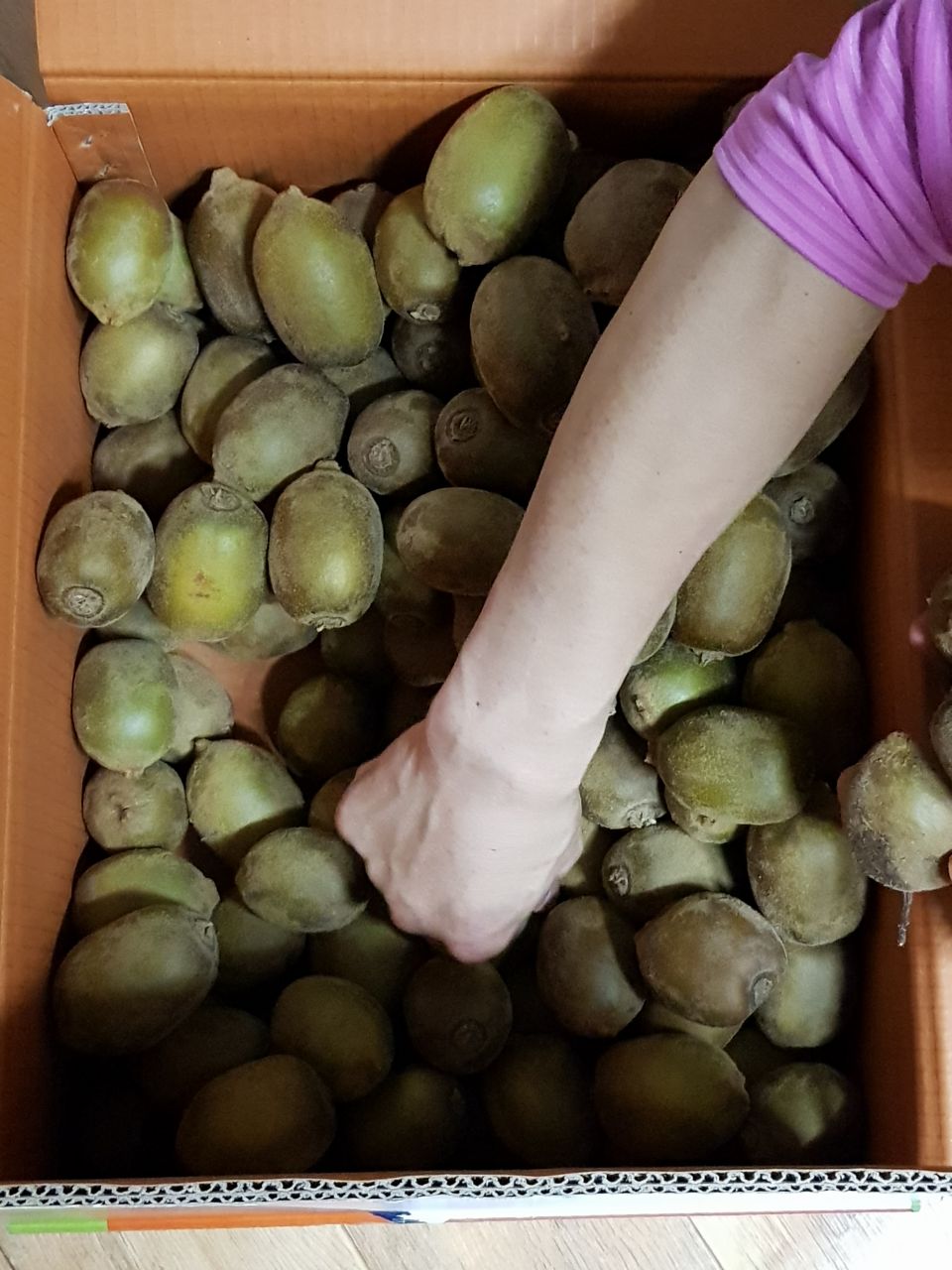 181203_unbox_85a56f1c5dc9df94df84a9a7c68