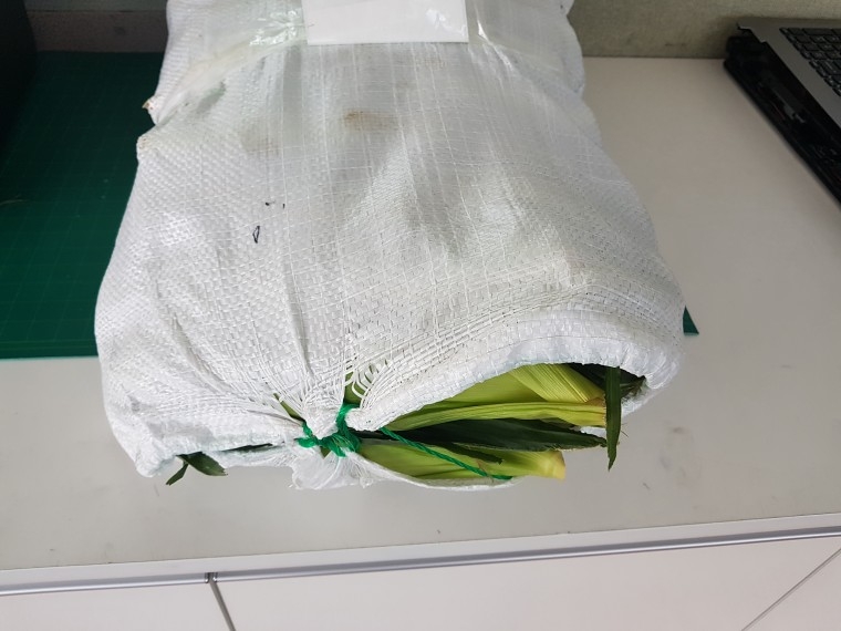 190729_unbox_f71a3ab71becbfd1ea61ae380f3