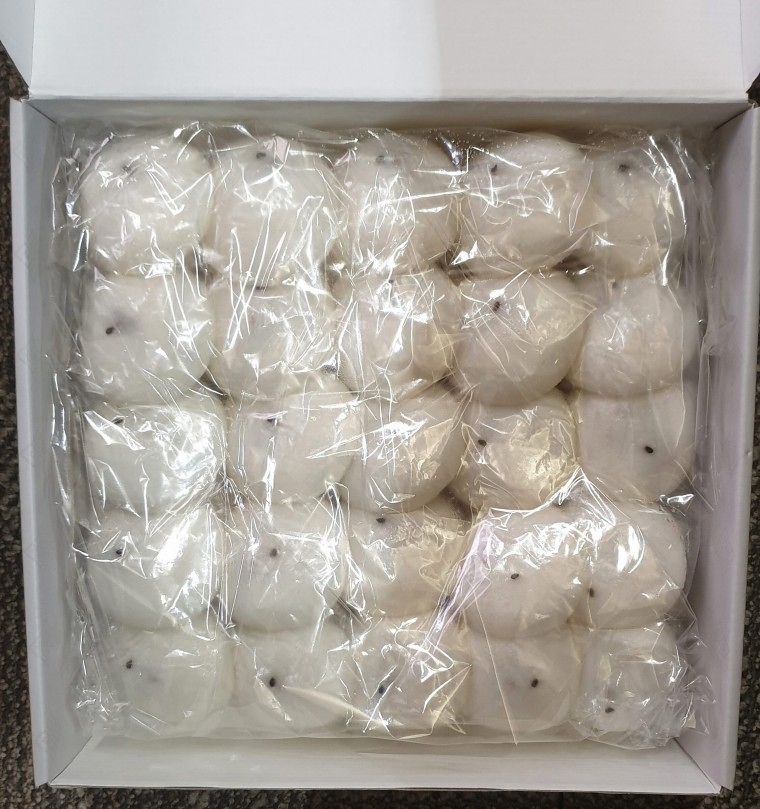 210304_unbox_0516629161742dc169f419f3ffb