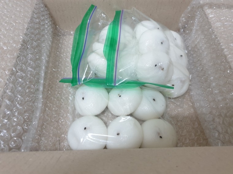 210311_unbox_8787c979430d5d67d9aecc70070
