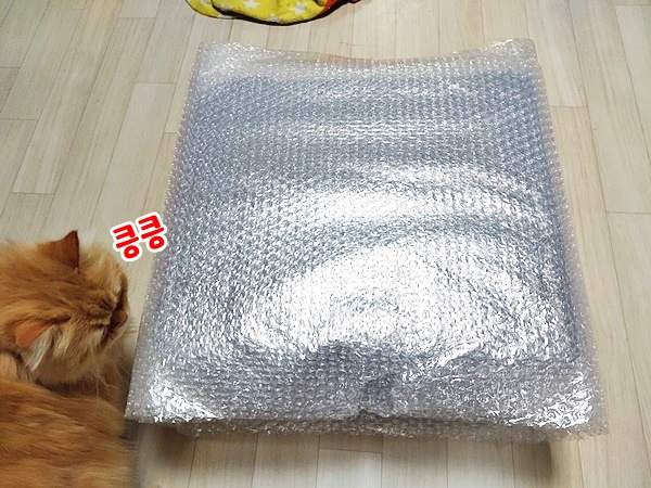 240215_unbox_36955d95902b22fb8f0f2fc5a3d